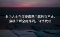 业内人士在深夜遭遇内幕热议不止，蜜桃传媒全网炸锅，详情发现