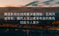 蘑菇影视在线观看深度揭秘：丑闻风波背后，圈内人在记者发布会的角色彻底令人意外