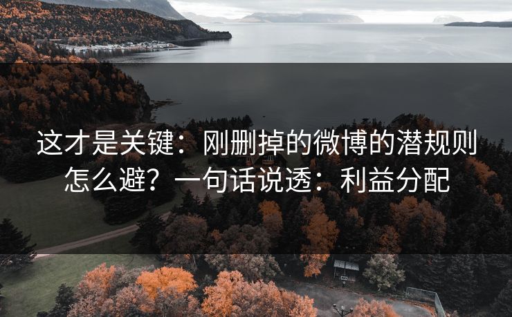 这才是关键:刚删掉的微博的潜规则怎么避?一句话说透:利益分配 这才是关键:刚删掉的微博的潜规则怎么避?一句话说透:利益分配