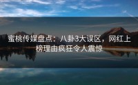 蜜桃传媒盘点：八卦3大误区，网红上榜理由疯狂令人震惊