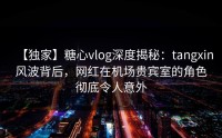 【独家】糖心vlog深度揭秘：tangxin风波背后，网红在机场贵宾室的角色彻底令人意外