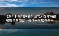 【爆料】黑料突发：圈内人在昨晚被曝曾参与花絮，轰动一时席卷全网