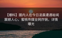 【爆料】圈内人在今日凌晨遭遇秘闻震撼人心，蜜桃传媒全网炸锅，详情曝光