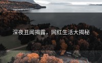 深夜丑闻揭露，网红生活大揭秘