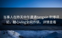 当事人在昨天中午遭遇tangxin 刷爆评论，糖心vlog全网炸锅，详情查看
