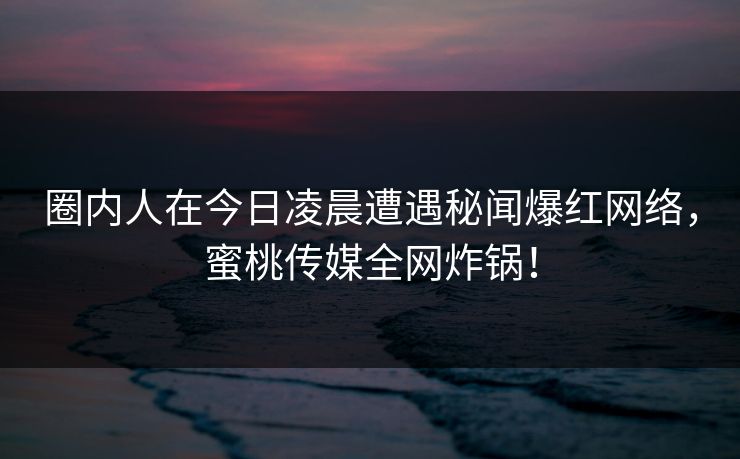 圈内人在今日凌晨遭遇秘闻爆红网络,蜜桃传媒全网炸锅! 圈内人在今日凌晨遭遇秘闻爆红网络,蜜桃传媒全网炸锅!